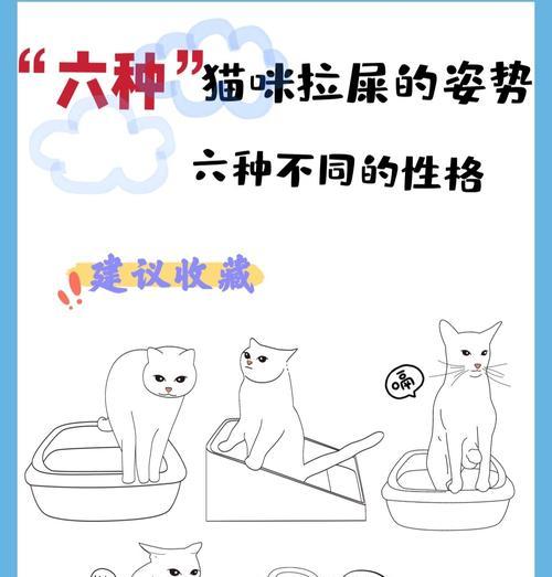 猫咪只尿不拉屎怎么办？（解决猫咪排便问题的有效方法）