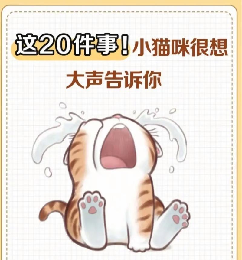 揭秘猫咪突然喝大量水背后的6个秘密（为什么你的猫咪忽然变成了水桶？探讨猫咪异常饮水行为的背后原因）