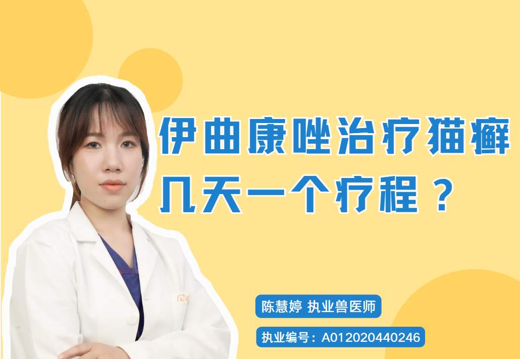 伊曲康唑治疗猫咪猫癣几天一个疗程？
