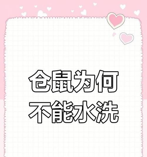 仓鼠洗澡的频率与注意事项（养仓鼠必读，它们的洗澡习惯与健康需求）
