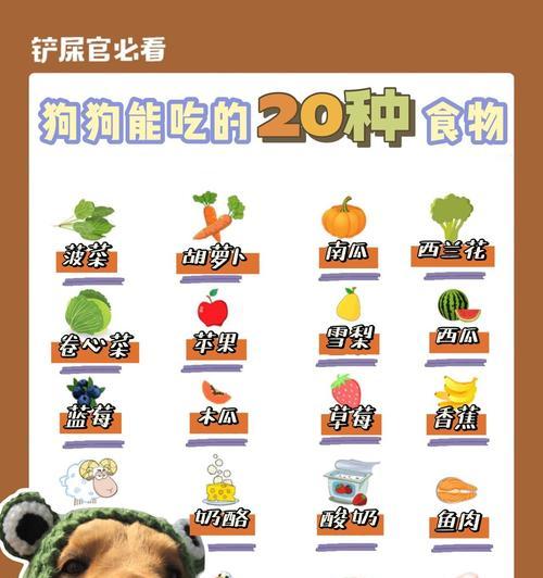 狗狗适合食用胡萝卜的时间（了解狗狗吃胡萝卜的最佳时机）