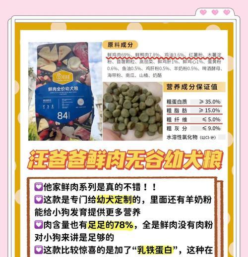 比熊幼犬的适宜饮食及喂养方式（从幼犬到成年犬，了解比熊幼犬的饮食需求）