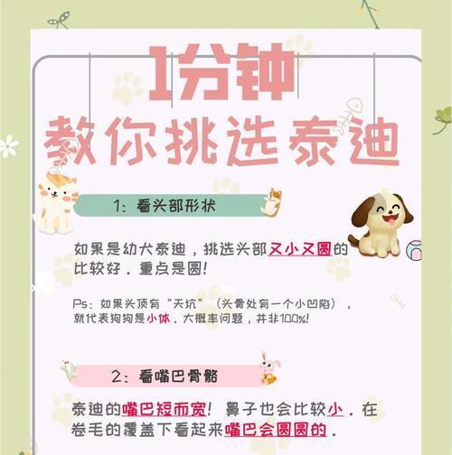 三招教育泰迪，让你的宠物更听话（培养泰迪良好行为的有效方法）