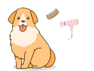 狗狗皮肤出现红点?别慌!这些药物帮你轻松应对