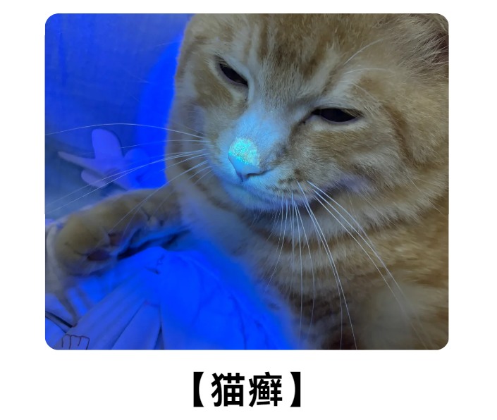 猫癣
