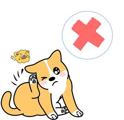 宠物护理新知:如何应对狗狗的红疙瘩和掉毛问题