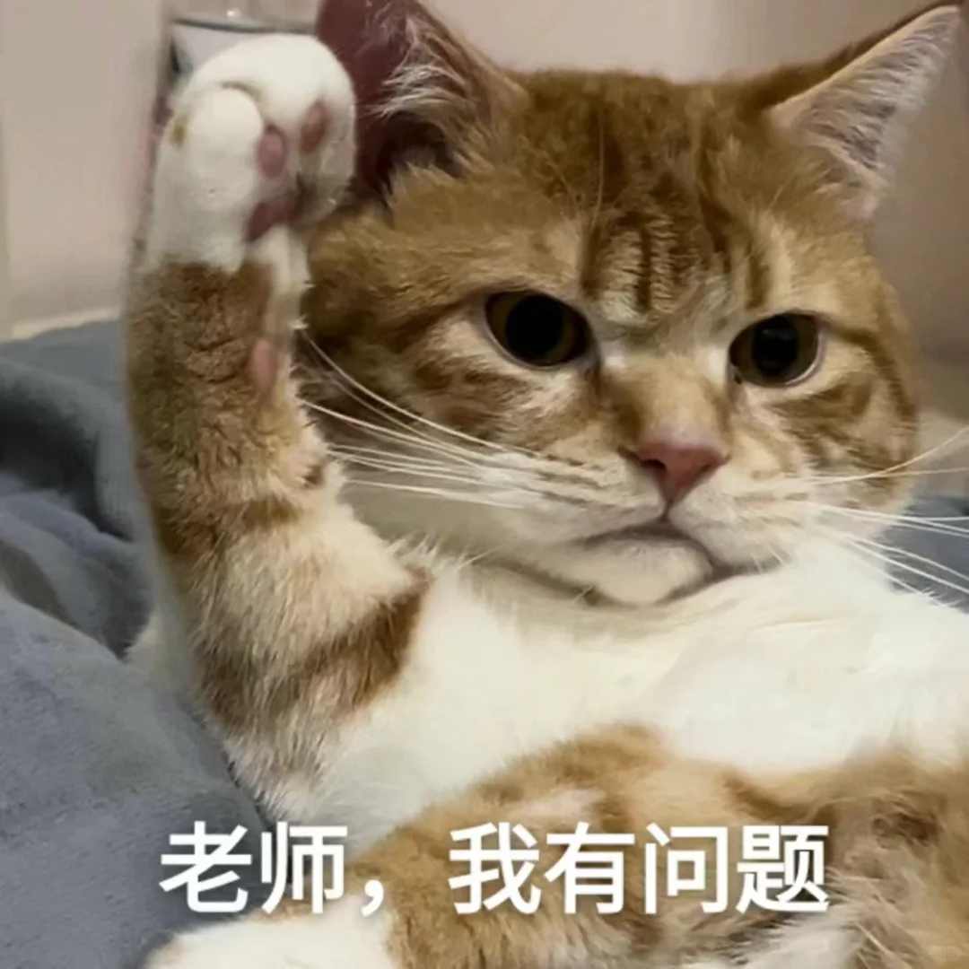 惊！猫咪浑身臭臭的是什么皮肤病吗？