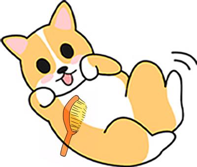 狗狗频繁抓痒还咬自己？快快帮助狗狗摆脱抓挠烦恼