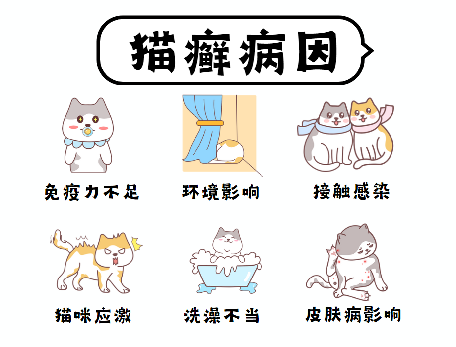 猫癣的病因是什么?