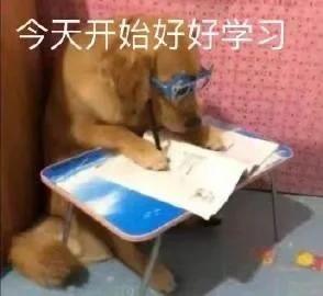 附犬螨虫症状图|狗狗螨虫感染就得这么治！