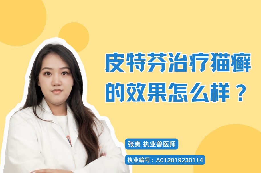 皮特芬治疗猫癣的效果怎么样？