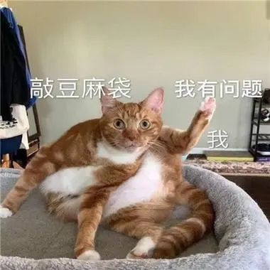 别太荒谬。猫咪真菌感染能用硫磺皂洗？