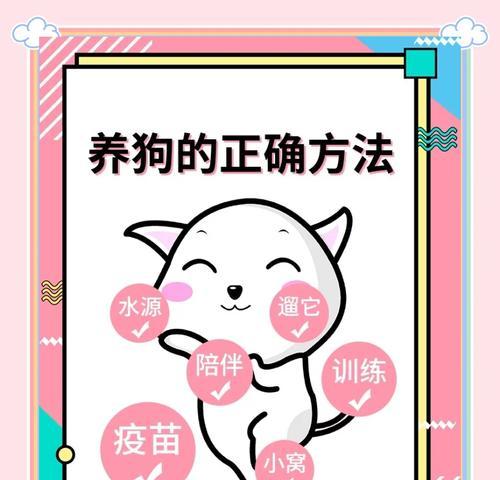 了解狂犬病的传播途径与养宠物的注意事项（保护宠物与人类健康的关键）
