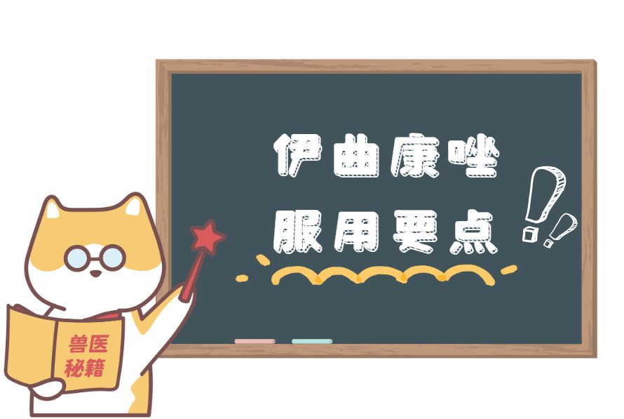 猫咪猫癣怎么治疗？