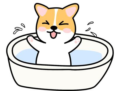 宠物健康警报:当你家狗狗开始无休止地抓痒...