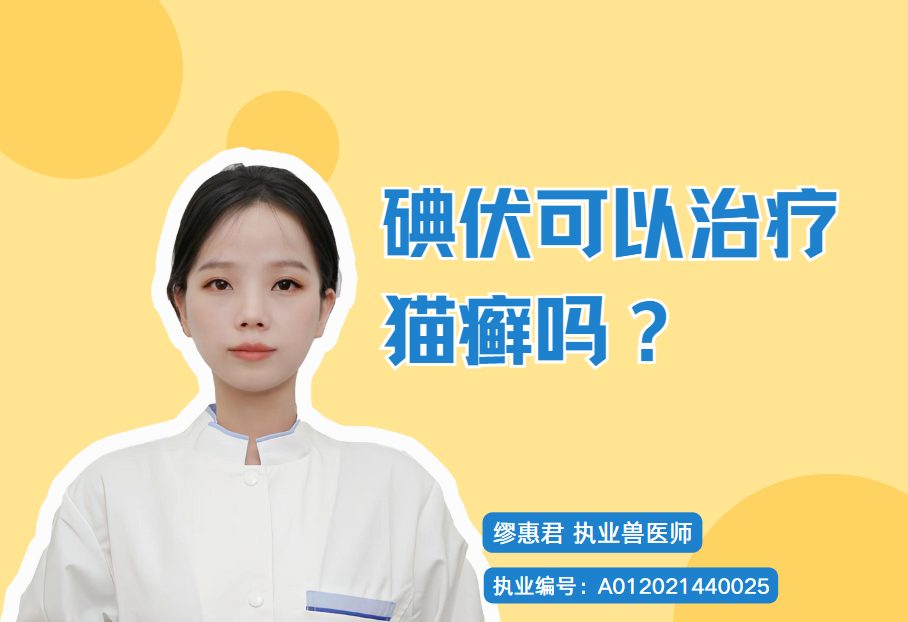 碘伏可以治疗猫癣吗？