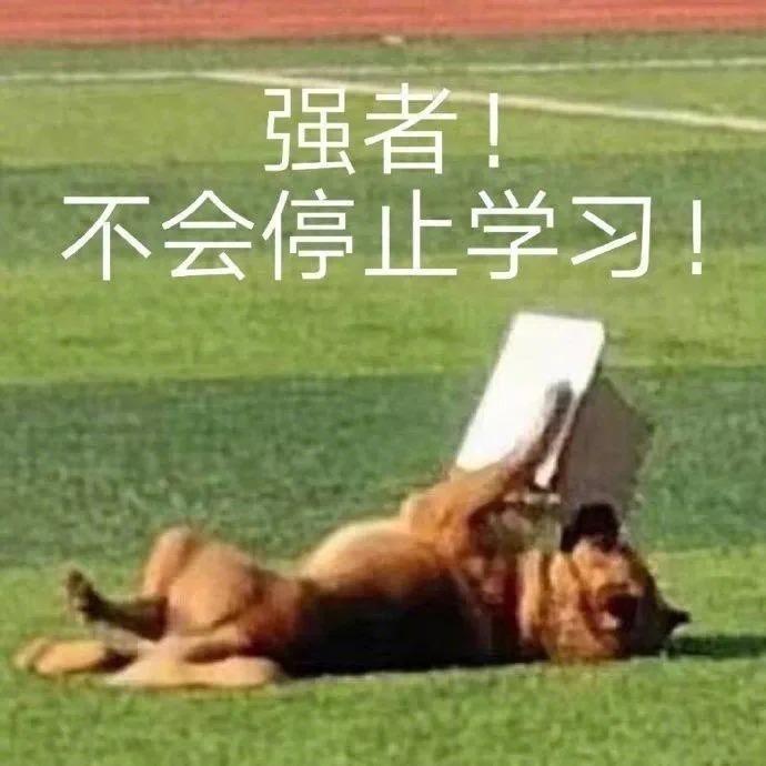 超痒啊啊啊！狗狗疥螨用什么药最管用？