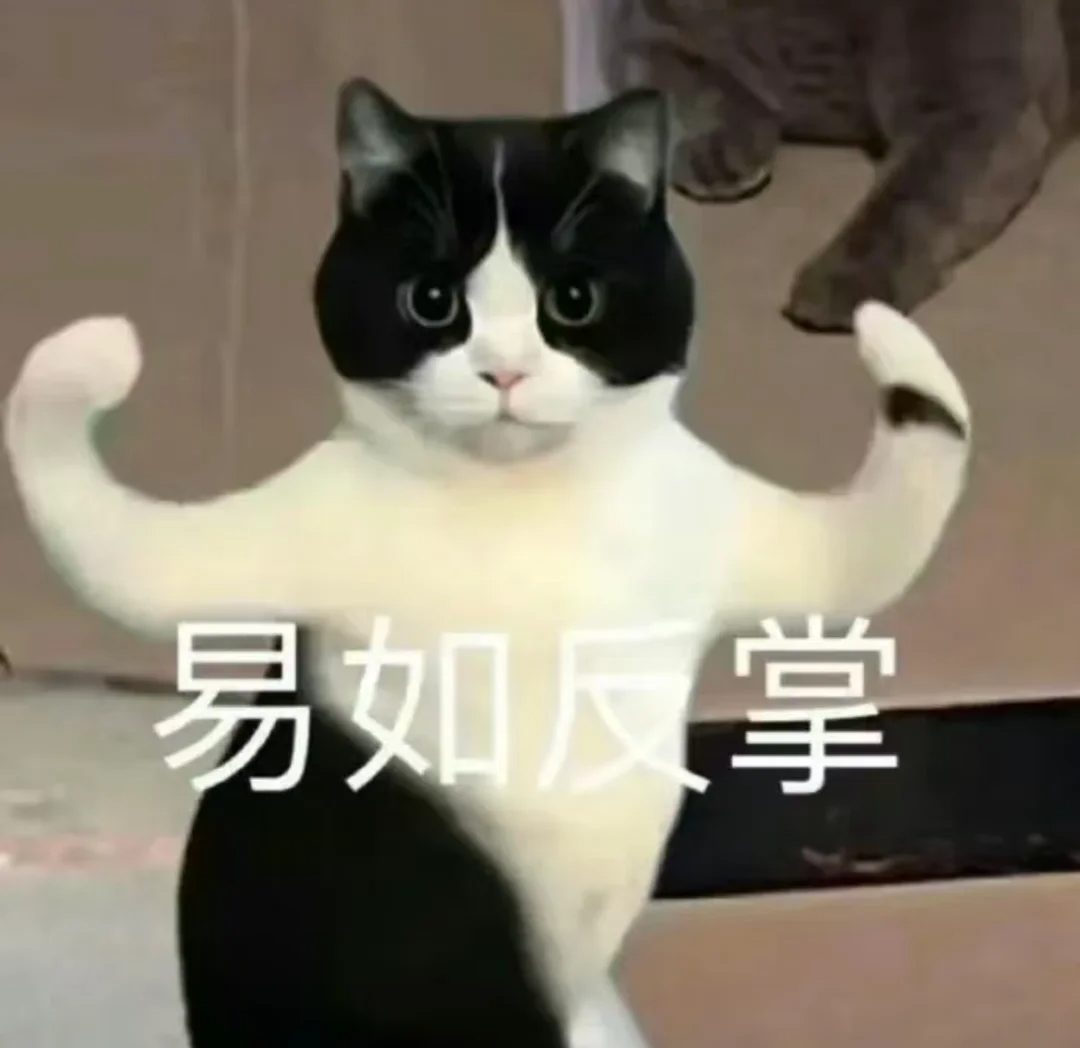 猫癣怎么治?