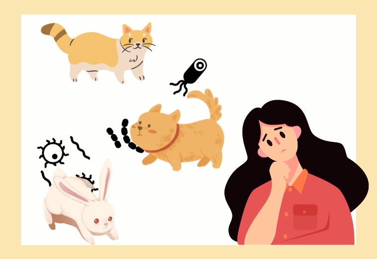 猫咪有猫癣会传染给人吗?