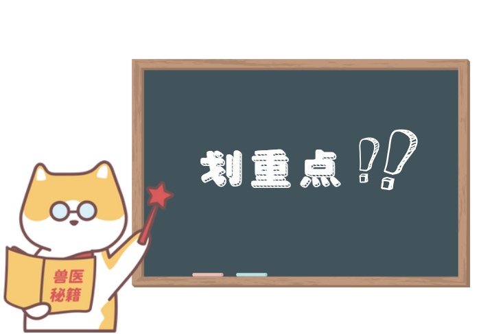猫癣传染人怎么办?