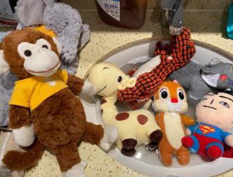 如何有效治疗与预防狗狗球菌感染皮肤病?