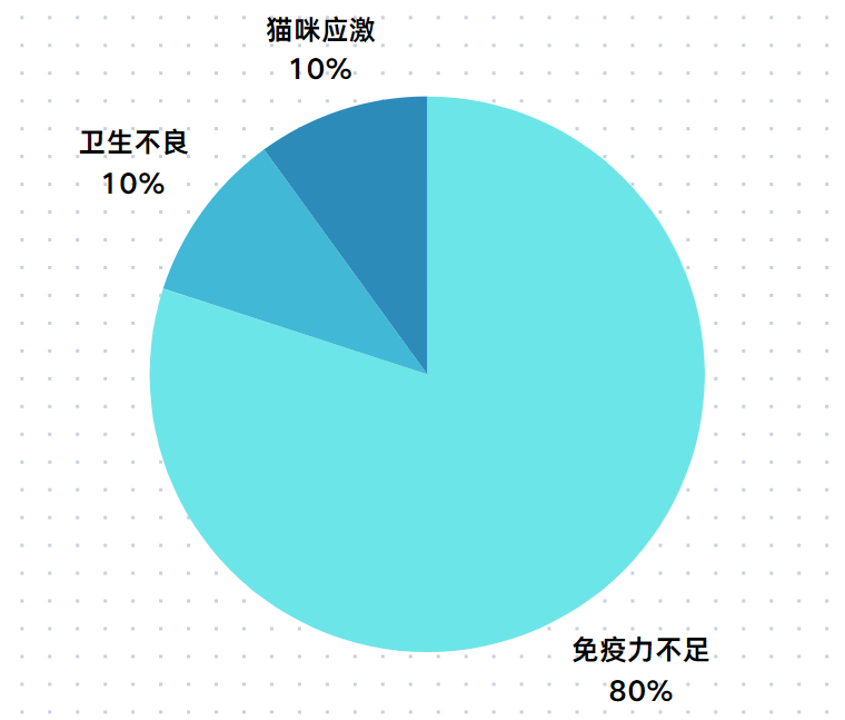 小猫得了猫癣怎么办?