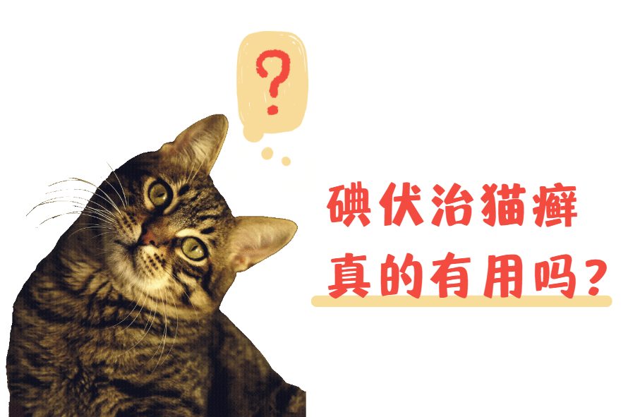 辟谣！碘伏治猫癣真的有用吗？