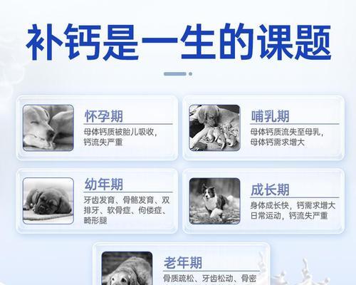 为什么给狗狗补充钙片很重要？（探索狗狗补充钙片的好处及适用情况）