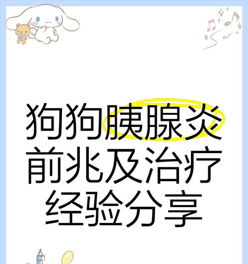 狗狗胰腺炎复查时间的重要性（胰腺炎、检查、复查、狗狗健康）