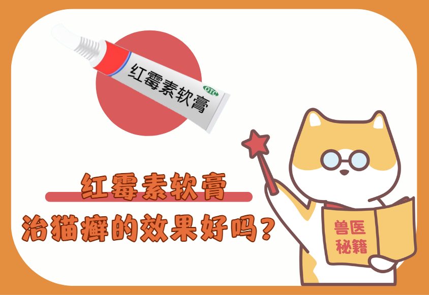 红霉素软膏治疗猫癣的效果好吗？微乎其微！