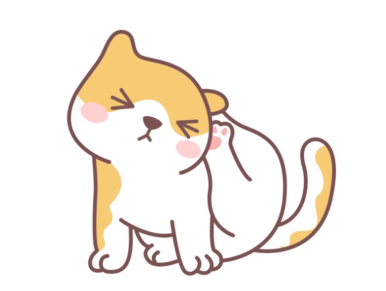猫咪为什么会感染猫癣