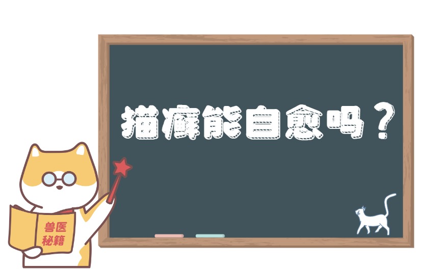 猫癣自己能自愈吗？不治疗多久能好？