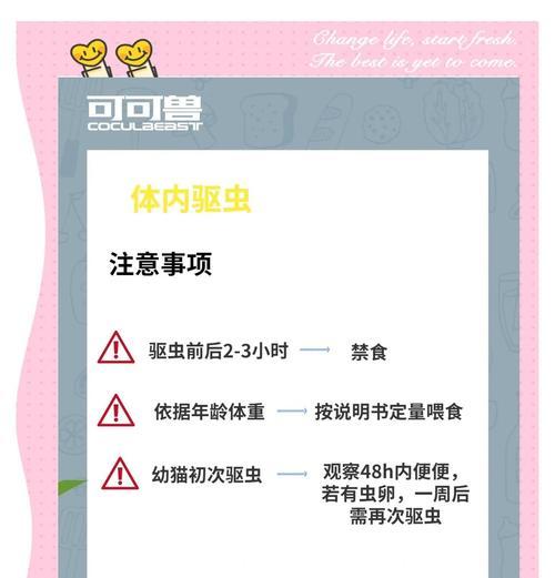 猫咪驱虫指南（了解猫咪驱虫的正确周期，守护它们的健康）