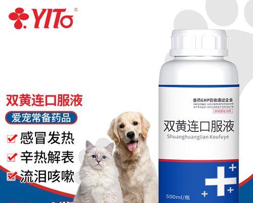 狗狗拉肚打喷嚏，应该如何用药治疗？（给狗狗合适的药物，让它健康快乐地生活）