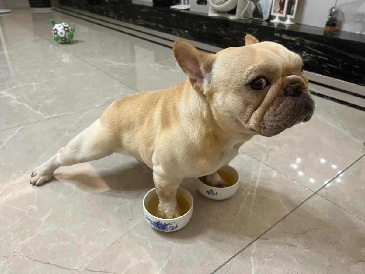 图源:xhs@牛犇犇