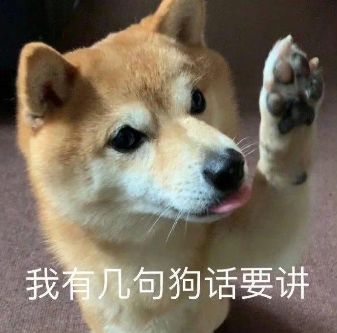 敲重点！狗狗皮肤病不要乱吃维生素！