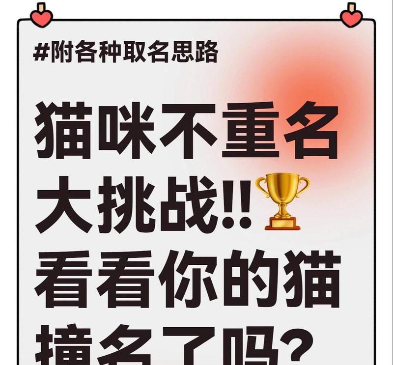 小猫咪名字大全（15个与小猫咪相关的独特名字推荐）