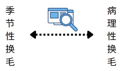 狗狗身上的毛秃了一块怎么办？