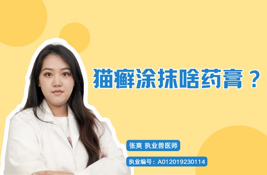 猫癣涂抹啥药膏？选这几种，便宜好用！