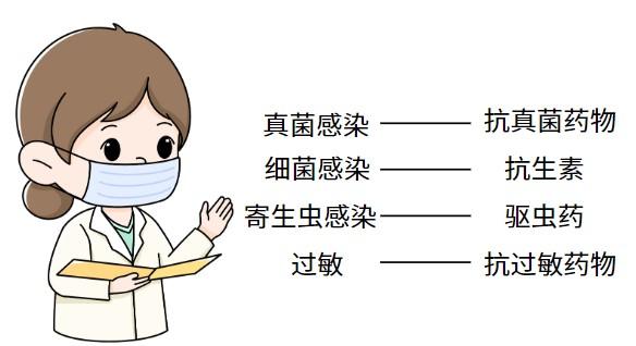 如何通过正确用药膏解决狗狗皮肤病困扰?