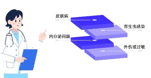 狗狗掉毛皮肤发红溃烂该如何是好?