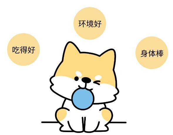 狗狗掉毛皮肤发红溃烂该如何是好?