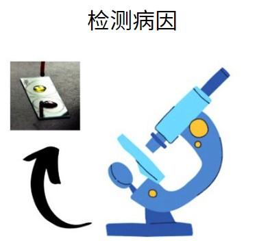 狗狗皮肤病掉毛用什么药治疗比较好？