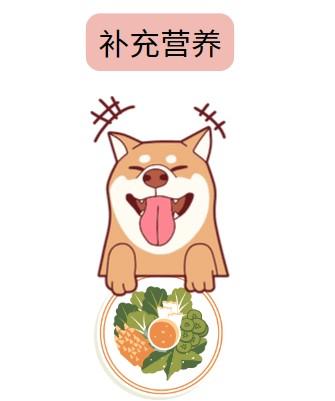 狗狗皮肤病掉毛用什么药治疗比较好?