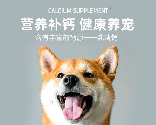 小狗狗补钙吃什么最好（营养丰富的食物是宝贝犬成长的关键）