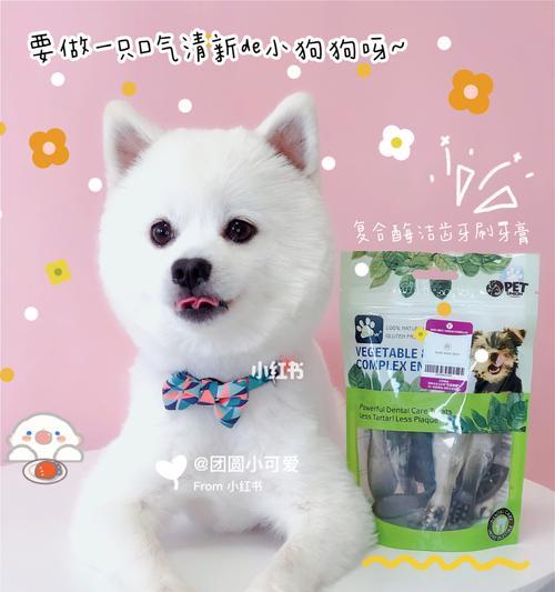 博美牙齿发黄还口臭的原因及解决方法（博美牙齿失去光泽，口气难闻的问题该如何解决？）