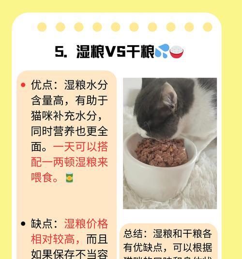 幼猫睡眠需求揭秘（探寻幼猫一天的睡眠时间和影响因素）