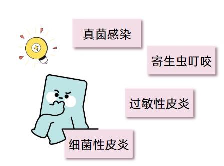 狗狗患上皮肤病长红疙瘩用什么药好？