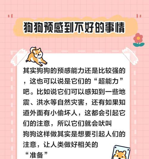 探讨狗狗吠叫的原因及有效方法阻止其行为（四种有效方法，让你的狗狗停止无止境的吠叫）