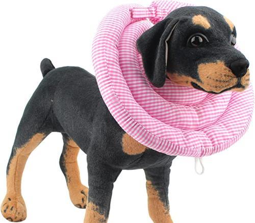 如何选择适合狗狗的舒适项圈（以狗狗舒适为主，给它一个舒适的项圈）